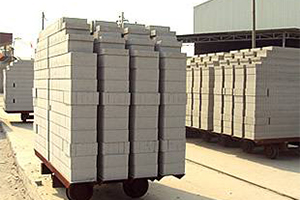 Steam-cured fly ash brick equipment