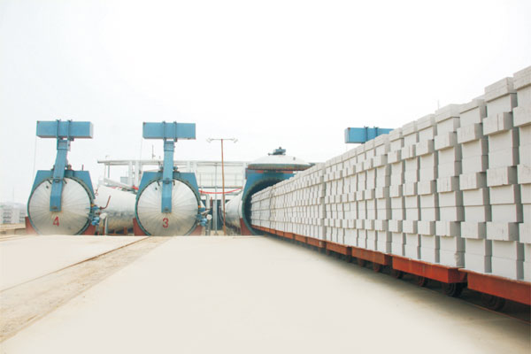 Fly ash brick machine equipment